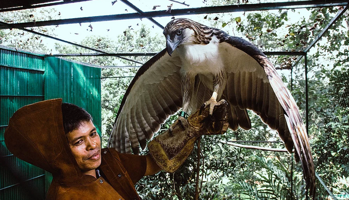 Meet our Fauna case beneficiary: the Philippine Eagle Foundation